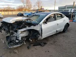 5YJ3E1EB0LF720189 2020 TESLA MODEL 3