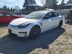5YJ3E1EB0LF744461 2020 TESLA MODEL 3