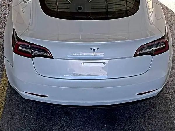 5YJ3E1EB0LF795099 2020 TESLA MODEL 3 - Image 2