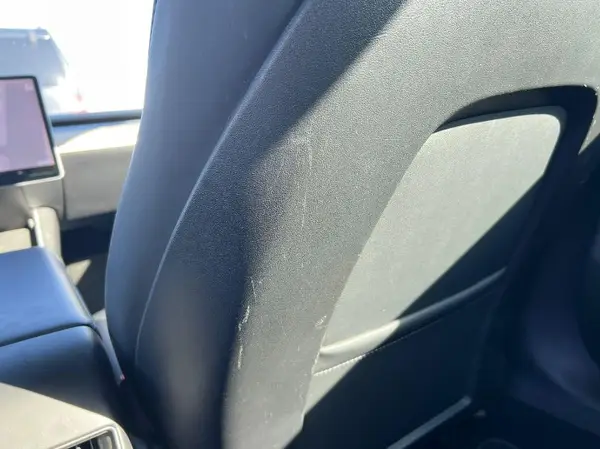 5YJ3E1EB0LF801029 2020 TESLA MODEL 3 - Image 8
