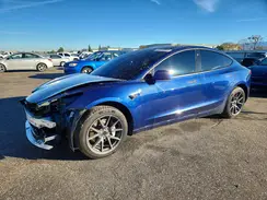 5YJ3E1EB0MF009979 2021 TESLA MODEL 3