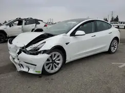 5YJ3E1EB0PF415278 2023 TESLA MODEL 3