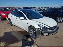 5YJ3E1EB0PF592039 2023 TESLA MODEL 3