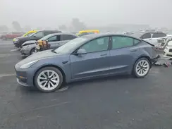 5YJ3E1EB0PF684672 2023 TESLA MODEL 3