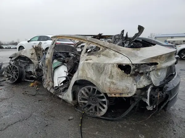 5YJ3E1EB0RF812637 2024 TESLA MODEL 3 - Image 2