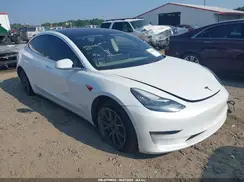 5YJ3E1EB1KF452686 2019 TESLA MODEL 3