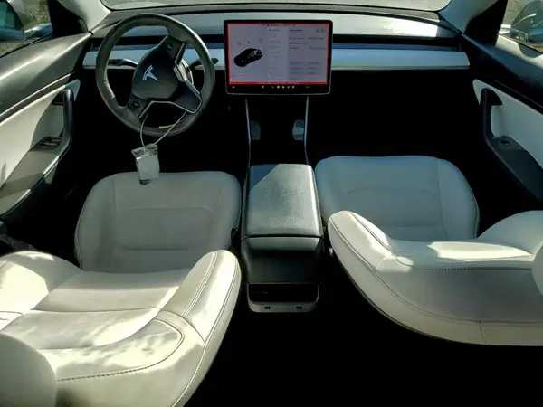 5YJ3E1EB1LF719987 2020 TESLA MODEL 3 - Image 8