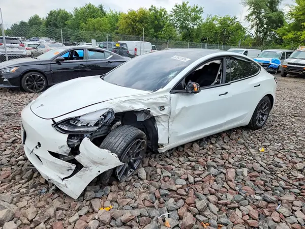 5YJ3E1EB1LF790607 2020 TESLA MODEL 3 - Image 1