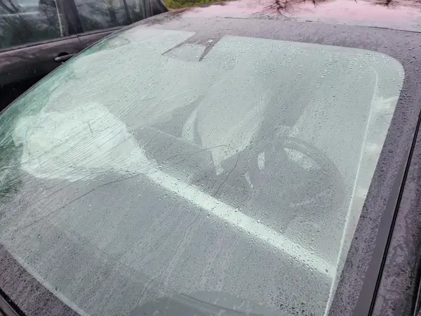 5YJ3E1EB1LF801556 2020 TESLA MODEL 3 - Image 8