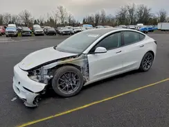 5YJ3E1EB1MF067986 2021 TESLA MODEL 3