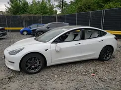 5YJ3E1EB1MF975872 2021 TESLA MODEL 3