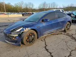 5YJ3E1EB1MF983356 2021 TESLA MODEL 3
