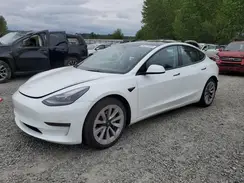 5YJ3E1EB1PF665368 2023 TESLA MODEL 3