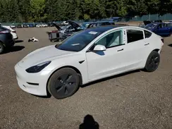 5YJ3E1EB1PF696698 2023 TESLA MODEL 3