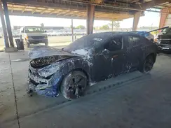 5YJ3E1EB1PF713516 2023 TESLA MODEL 3