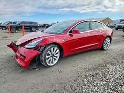 5YJ3E1EB2KF392983 2019 TESLA MODEL 3