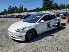 5YJ3E1EB2KF442345 2019 TESLA MODEL 3