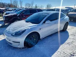 5YJ3E1EB2LF619736 2020 TESLA MODEL 3