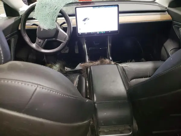5YJ3E1EB2LF665275 2020 TESLA MODEL 3 - Image 8