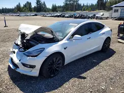5YJ3E1EB2LF669004 2020 TESLA MODEL 3