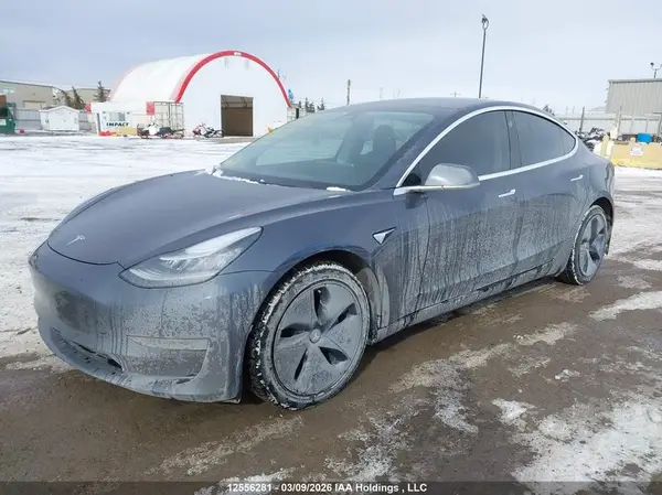 5YJ3E1EB2LF800772 2020 TESLA MODEL 3 - Image 2