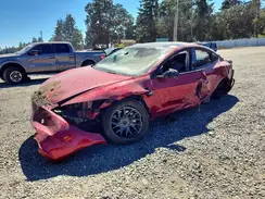 5YJ3E1EB2RF811988 2024 TESLA MODEL 3