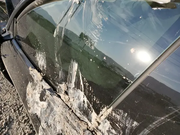5YJ3E1EB2RF854887 2024 TESLA MODEL 3 - Image 8