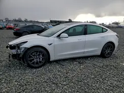 5YJ3E1EB3KF390479 2019 TESLA MODEL 3