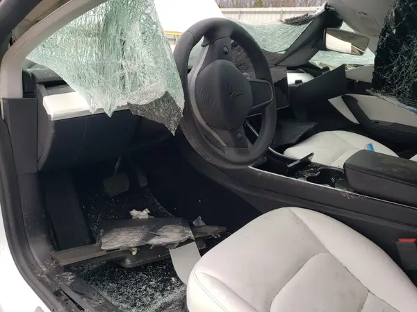 5YJ3E1EB3KF469537 2019 TESLA MODEL 3 - Image 8