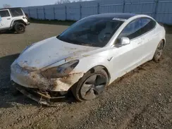 5YJ3E1EB3KF513195 2019 TESLA MODEL 3
