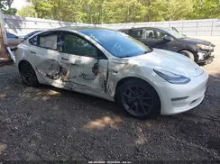 5YJ3E1EB3LF665401 2020 TESLA MODEL 3