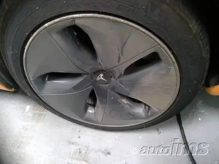 5YJ3E1EB3LF803115 2020 TESLA MODEL 3 - Image 1