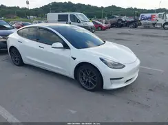 5YJ3E1EB3MF038019 2021 TESLA MODEL 3