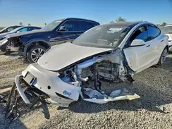 5YJ3E1EB3MF064975 2021 TESLA MODEL 3