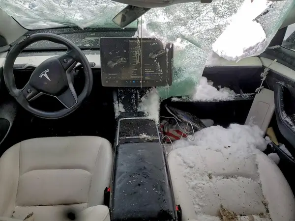 5YJ3E1EB3NF103453 2022 TESLA MODEL 3 - Image 8