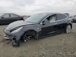 5YJ3E1EB4KF393262 2019 TESLA MODEL 3