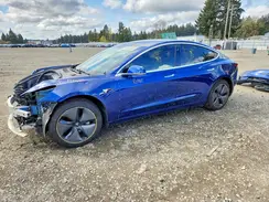 5YJ3E1EB4LF636067 2020 TESLA MODEL 3