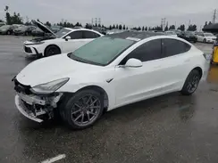 5YJ3E1EB4LF651670 2020 TESLA MODEL 3
