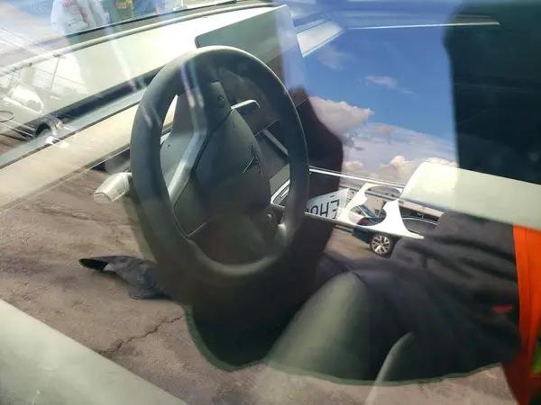 5YJ3E1EB4MF003098 2021 TESLA MODEL 3 - Image 8