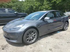 5YJ3E1EB4PF391616 2023 TESLA MODEL 3