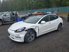 5YJ3E1EB4PF619243 2023 TESLA MODEL 3