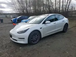 5YJ3E1EB4PF636799 2023 TESLA MODEL 3