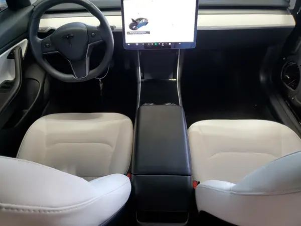 5YJ3E1EB5LF668476 2020 TESLA MODEL 3 - Image 8