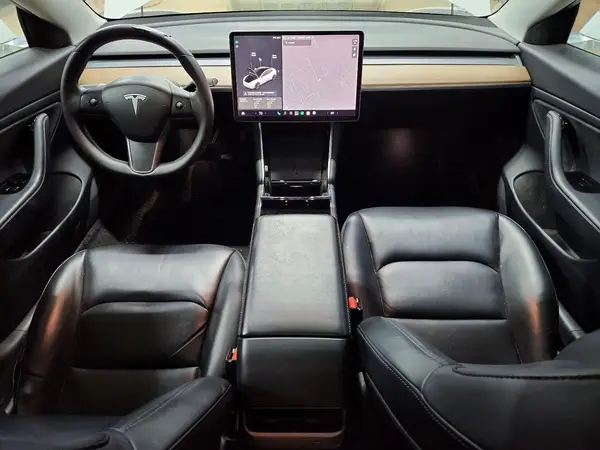 5YJ3E1EB5LF744360 2020 TESLA MODEL 3 - Image 8