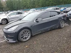 5YJ3E1EB5LF800510 2020 TESLA MODEL 3