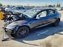 5YJ3E1EB5RF832382 2024 TESLA MODEL 3