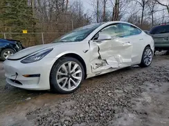 5YJ3E1EB6KF392498 2019 TESLA MODEL 3