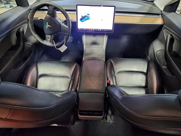 5YJ3E1EB6LF600655 2020 TESLA MODEL 3 - Image 8