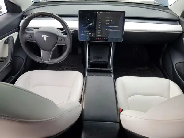 5YJ3E1EB6LF601059 2020 TESLA MODEL 3 - Image 8