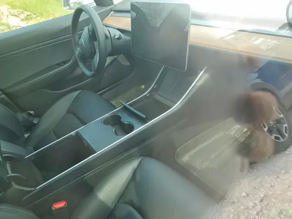 5YJ3E1EB6LF618332 2020 TESLA MODEL 3 - Image 8